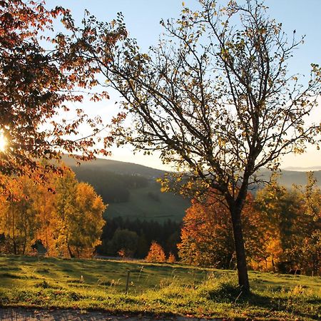 Stoahauerhof Daire Grainet Dış mekan fotoğraf