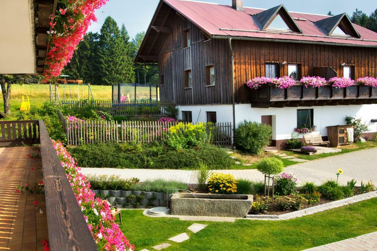 Stoahauerhof Daire Grainet Dış mekan fotoğraf