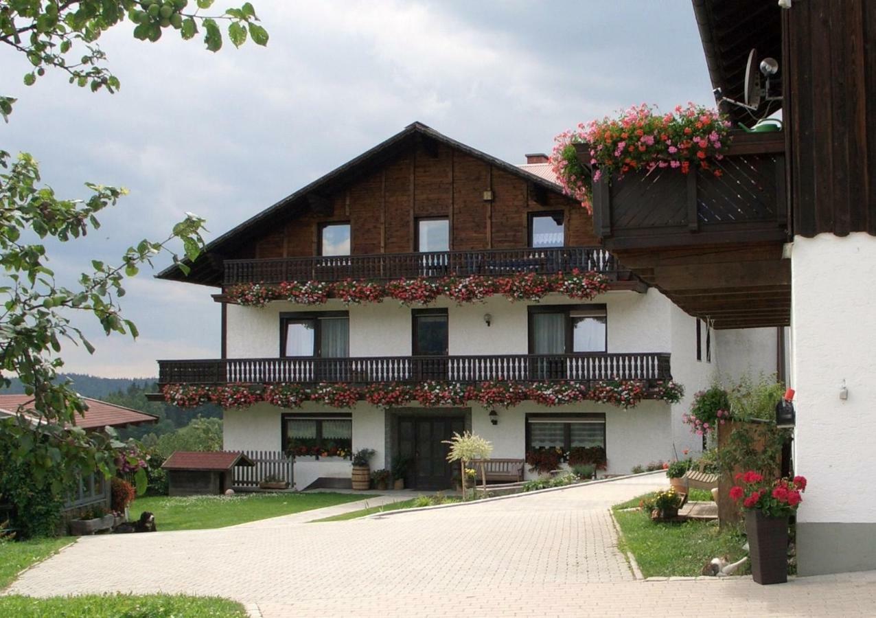 Stoahauerhof Daire Grainet Dış mekan fotoğraf